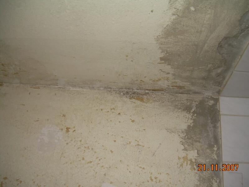 Asbest-Test Putz, Fliesenkleber - SBH-Methode